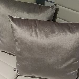 Silver Velvet Throw Pillows